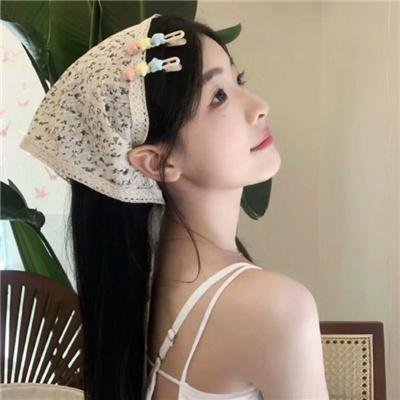 模范警察